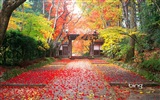 Microsoft Bing HD Wallpapers: japanische Landschaft Thema Tapete #1