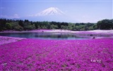 Microsoft Bing HD Wallpapers: japanische Landschaft Thema Tapete #11