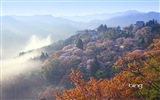 Microsoft Bing écran HD: Japonais papier peint thème du paysage #12