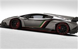 2013 Lamborghini Veneno 蘭博基尼Veneno豪華超級跑車高清壁紙 #3