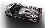 2013 Lamborghini Veneno 蘭博基尼Veneno豪華超級跑車高清壁紙 #4
