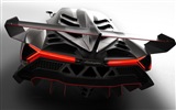 2013 Lamborghini Veneno 蘭博基尼Veneno豪華超級跑車高清壁紙 #5