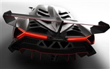 2013 Lamborghini Veneno 兰博基尼Veneno豪华超级跑车高清壁纸5