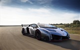 2013 Lamborghini Veneno luxury supercar HD wallpapers #90823