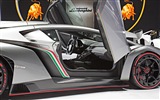 2013 Lamborghini Veneno 兰博基尼Veneno豪华超级跑车高清壁纸11