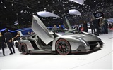 2013 Lamborghini Veneno 兰博基尼Veneno豪华超级跑车高清壁纸12