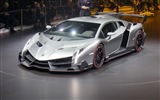 2013 Lamborghini Veneno 蘭博基尼Veneno豪華超級跑車高清壁紙 #15