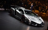 2013 Lamborghini Veneno luxury supercar HD wallpapers #16