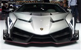 2013 Lamborghini Veneno 兰博基尼Veneno豪华超级跑车高清壁纸19