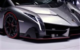 2013 Lamborghini Veneno 兰博基尼Veneno豪华超级跑车高清壁纸20