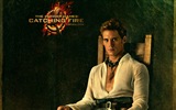 The Hunger Games: Catching Fire 飢餓遊戲2：星火燎原 高清壁紙 #10
