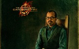 The Hunger Games: Catching Fire 飢餓遊戲2：星火燎原 高清壁紙 #14