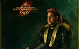 The Hunger Games: Catching Fire 飢餓遊戲2：星火燎原 高清壁紙 #15