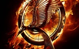 The Hunger Games: Catching Fire 飢餓遊戲2：星火燎原 高清壁紙 #17