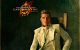 The Hunger Games: Catching Fire 飢餓遊戲2：星火燎原 高清壁紙 #18