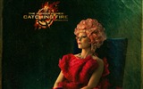 The Hunger Games: Catching Fire wallpapers HD #19