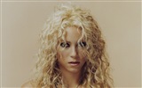 Shakira 夏奇拉 高清壁紙 #13