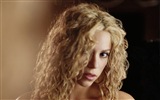 Shakira 夏奇拉 高清壁纸16