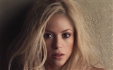 Shakira HD wallpapers #17