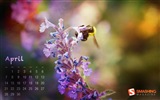 April 2013 Kalender Wallpaper (1)