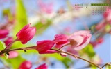 April 2013 Calendar wallpaper (1) #17