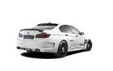 2013 Hamann M5 Mi5sion 哈曼M5 Mi5sion豪华车高清壁纸4