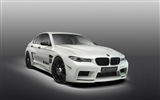 2013 Hamann M5 Mi5sion Luxus-Auto HD Wallpaper #13