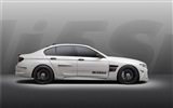 2013 Hamann M5 Mi5sion coches de lujo HD wallpapers #15