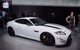 2014 Jaguar XKR-S GT 捷豹XKR-S GT跑车高清壁纸19