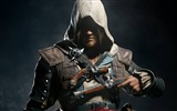 Assassin's Creed IV: Black Flag 刺客信条4：黑旗 高清壁纸13