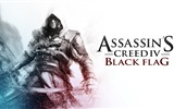 Assassin Creed IV: Black Flag HD tapety na plochu #16