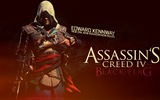 Assassin's Creed IV: Black Flag 刺客信條4：黑旗 高清壁紙 #17