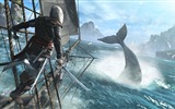 Assassin's Creed IV: Black Flag 刺客信条4：黑旗 高清壁纸20