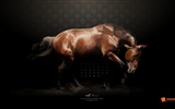 May 2013 calendar wallpaper (2) #16