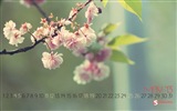 May 2013 calendar wallpaper (2) #19