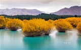 2013 Bing official theme HD wallpapers #5