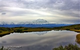 Windows 8 es el tema de fondo de pantalla: Alaska Paisaje #5