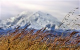 Windows 8 thème fond d'écran: Alaska paysage #15