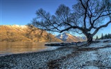 Windows 8 Theme Wallpaper: Queenstown, New Zealand