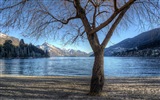 Windows 8 theme wallpaper: Queenstown, New Zealand #12