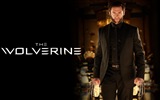 Die Wolverine 2013 HD Wallpaper #2