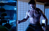 Wolverine 2013 HD tapety na plochu #6