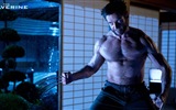 Die Wolverine 2013 HD Wallpaper #6