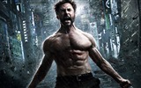 The Wolverine 2013 HD wallpapers #9