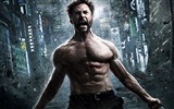 The Wolverine 2013 金剛狼2 高清壁紙 #9