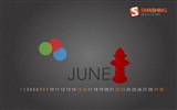 Juni 2013 Kalender Wallpaper (1) #18