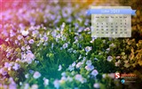 June 2013 calendar wallpaper (2) #14