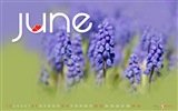 June 2013 calendar wallpaper (2) #17