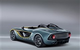 2013 Aston Martin CC100 Speed​​ster concept 阿斯頓·馬丁CC100概念車高清壁紙 #2