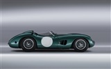 2013 Aston Martin CC100 Speed​​ster concept 阿斯頓·馬丁CC100概念車高清壁紙 #8